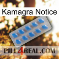 Kamagra Notice 22